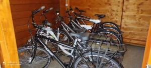 Jízda na kole v ubytování Levendula Vendégház nebo okolí