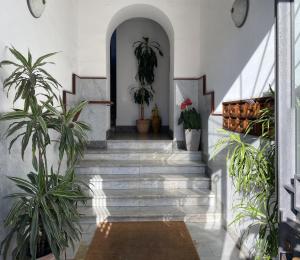 Fotografie z fotogalerie ubytování Luna Rossa Roma Guest House v Římě