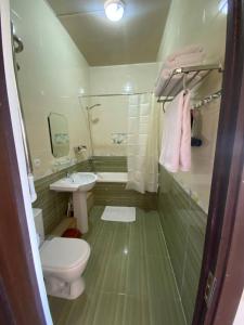 a bathroom with a toilet and a sink and a tub at Uzumfermer Hotel & Winery in Tashkent
