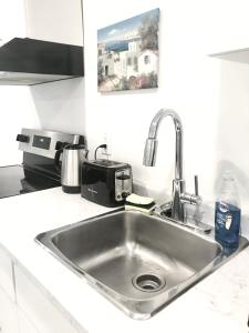 um balcão de cozinha com um lavatório na cozinha em Modern 1BR Basement Suite With Parking em Innisfil