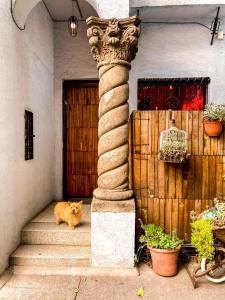 un gato naranja sentado en las escaleras de una casa en Casa Melgar, en Ciudad de México