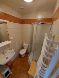 a bathroom with a sink and a toilet and a staircase at Apartamenty Kołczewo in Kołczewo