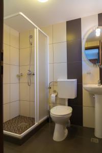 a bathroom with a shower and a toilet and a sink at Pensiunea Transilvania in Sibiu
