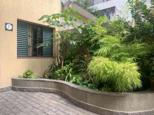 Um jardim em Villa Paraíso