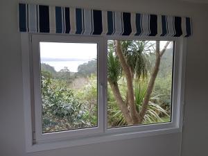 Zahrada ubytování Fernglen B&B
