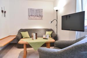 TV a/nebo společenská místnost v ubytování Hotel dasZimmermann
