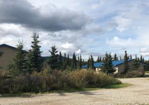 a building with a blue roof and some trees at Denali Park Hotel in Healy
