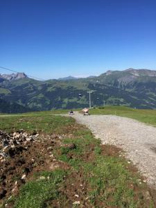 Paesaggio naturale nelle vicinanze del bed & breakfast