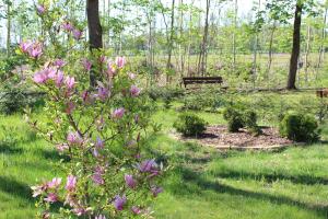 Gallery image of Uroczysko Porszewice - Ośrodek Konferencyjno-Rekolekcyjny in Pabianice