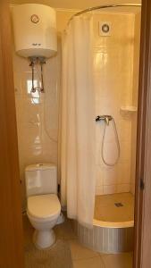 a bathroom with a toilet and a shower with a shower curtain at Mini-Otel Luch in Odesa