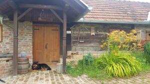 Zahrada ubytování Farmica, Bed&Breakfast, Bazen izdvojen nekoliko minuta hoda + 29 fotografií