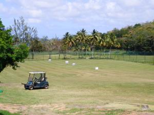 un golf cart parcheggiato in un campo con palme di THE BAHI VILLA - Adults Only B&B a Les Trois-Îlets