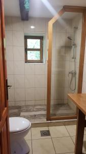 uma casa de banho com um chuveiro e um WC. em Farmica Bed&Breakfast em Ðurđevac