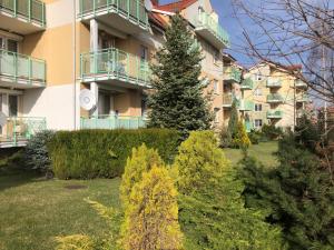 Ogród w obiekcie Apartament Słoneczny 1