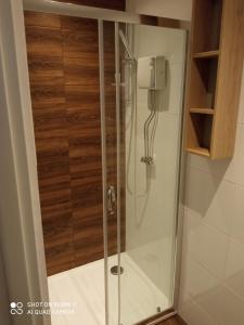 a shower with a glass door in a bathroom at Biesiada pod lasem in Kielce