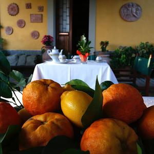 una pila de naranjas y limones sobre una mesa en Agriturismo il Poggetto, en Torre