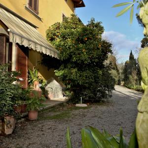 Imagen de la galería de Agriturismo il Poggetto, en Torre