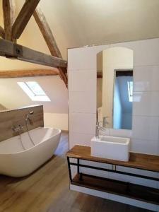 ein Badezimmer mit einer Badewanne, einem Waschbecken und einem Spiegel in der Unterkunft de ploeg luxe in Büllingen