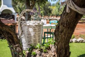 A garden outside Il Trullo di Heidi