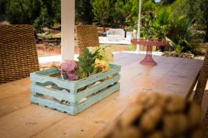 A garden outside Il Trullo di Heidi