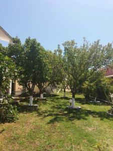 Zahrada ubytování Monika Hotel Sidari