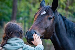 Una donna sta accarezzando un cavallo marrone di Casalgallo a Quercegrossa