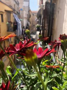 um grupo de flores vermelhas em frente a um edifício em b&b nonno peppe em Palermo