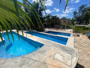 une piscine d'eau bleue et un palmier dans l'établissement Aj Mun, Hotel Real Maya 3, à Valladolid