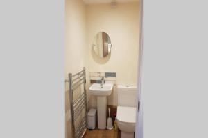 a bathroom with a sink and a toilet and a mirror at Riverside Lodge Pied a Terre in Fordingbridge