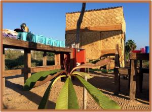 a plant sitting in front of a wooden fence at Camp - Santos Camp With All The Comforts in Todos Santos