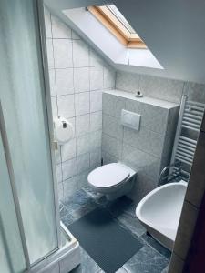 a bathroom with a toilet and a sink at Guest House Family Dukić in Rakovica