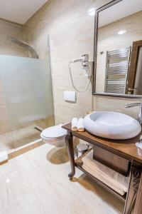 a bathroom with a sink and a toilet and a mirror at Noblesse Boutique Resort in Sibiu
