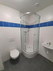 a bathroom with a shower and a toilet and a sink at Šaca Home in Košice