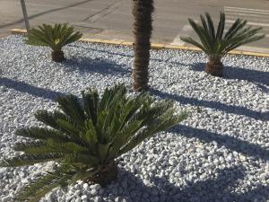 Fotografie z fotogalerie ubytování Hotel Torres I v destinaci Villanueva del Arzobispo