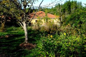 Vonkajšia záhrada v ubytovaní O Fogar do Monte