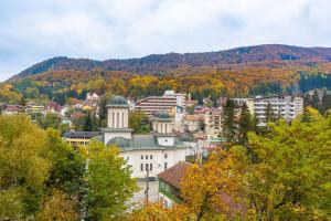 Galería fotográfica de Hotel President en Băile Olăneşti