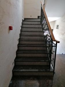 兹拉蒂博尔Standardna soba Zlatibor centar 205的相册照片