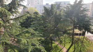 a group of trees in a city with buildings at Dans grand appart de 113m2 proche Paris in Creil