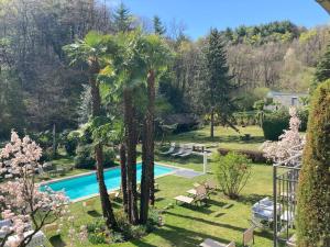 um jardim com piscina e palmeiras em Garni Villa Siesta Park em Losone