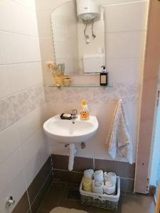 Ένα μπάνιο στο Apartman Gradac Deguric