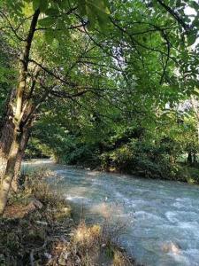 Afbeelding uit fotogalerij van Apartman Gradac Deguric in Valjevo +6 foto's