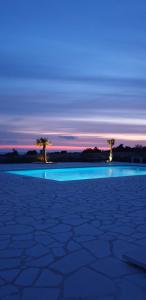 a night view of a swimming pool with two palm trees at Villa Melody Novalja in Novalja