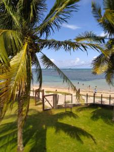 einen Strand mit einer Palme und dem Meer in der Unterkunft Casa frente mar com vista incrível! in Vera Cruz de Itaparica