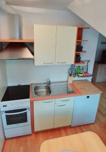 una piccola cucina con armadi bianchi e lavandino di Apartma Manca a Kranjska Gora