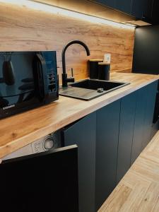 Η κουζίνα ή μικρή κουζίνα στο Panoramic Apartments Oradea