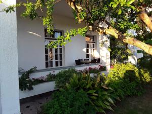 a white house with a window and some plants at Rab Apartments Žic in Kampor