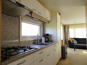 a kitchen with a sink and a stove top oven at Chalet 3 in Meliskerke