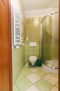 a bathroom with a toilet and a shower at Mała Wenecja - pokoje gościnne in Nowe Worowo +58 photos