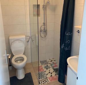 y baño con ducha, aseo y lavamanos. en Epidaurum Apartments en Cavtat
