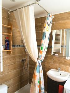 ヴィルヌーヴ・サン・ジョルジュにあるSaint Georges - ParisSmileのシャワーカーテンと洗面台付きのバスルーム
